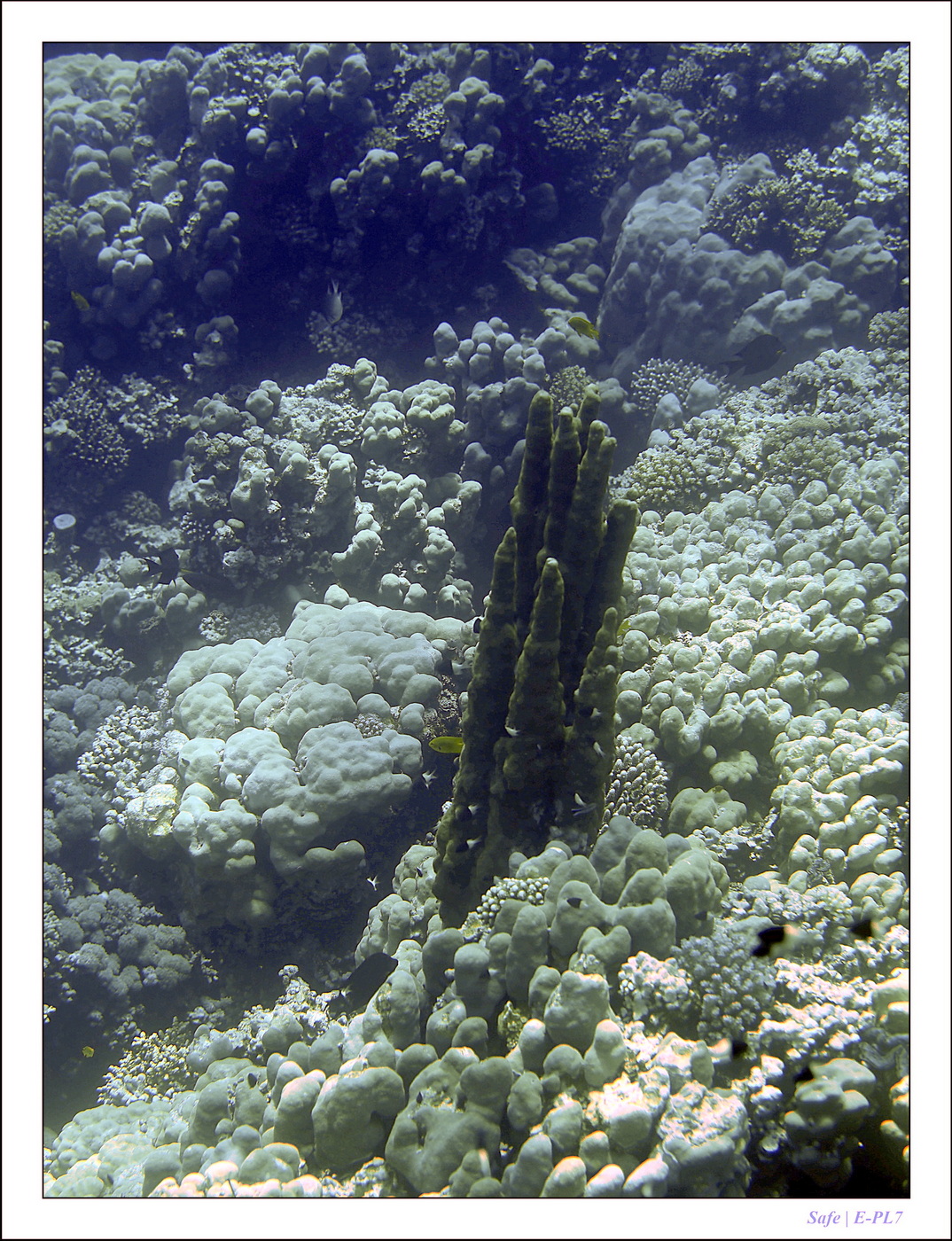 Hurghada - Juillet 2021 - 085